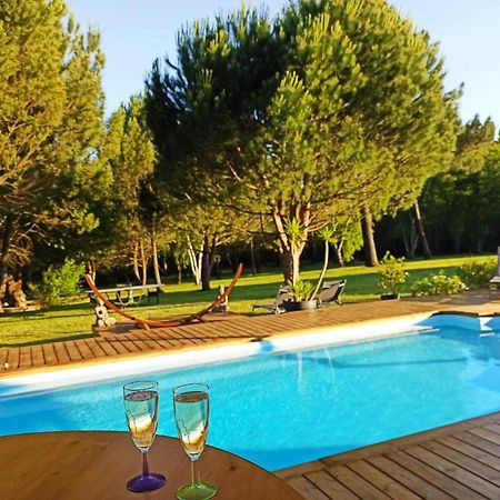 Les Pins Perdus Bed and Breakfast Saint-Ciers-d'Abzac Eksteriør billede