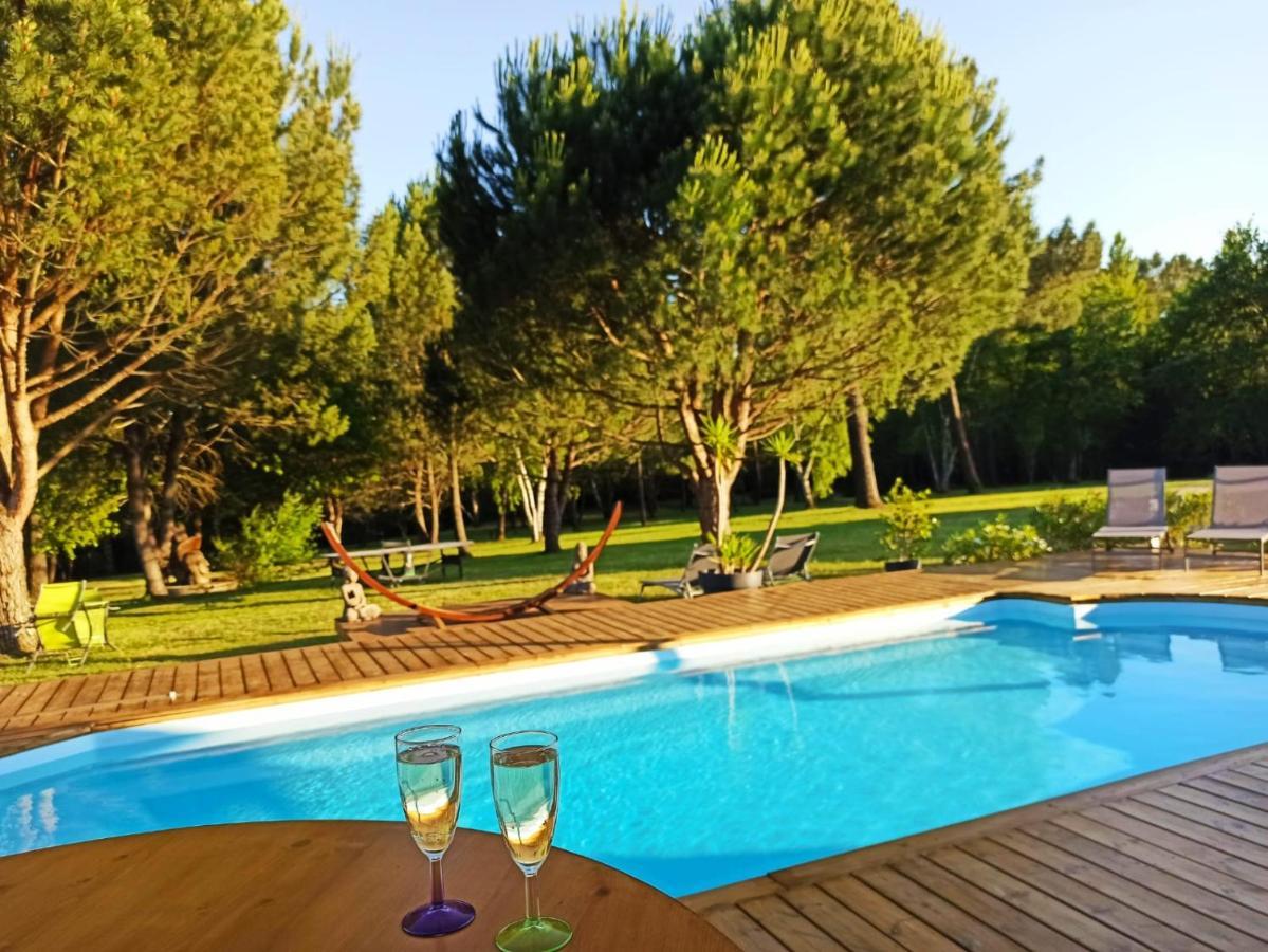 Les Pins Perdus Bed and Breakfast Saint-Ciers-d'Abzac Eksteriør billede