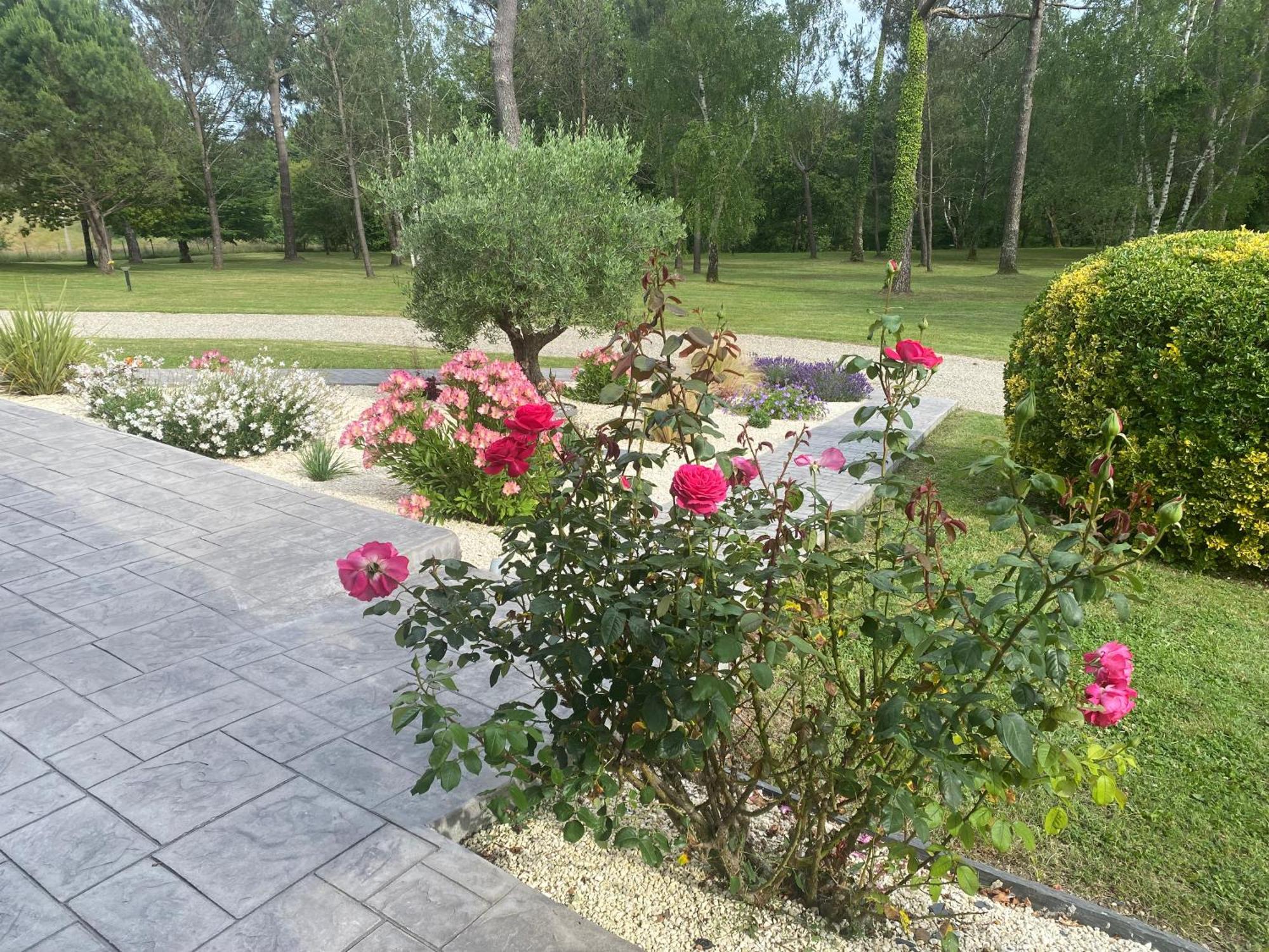Les Pins Perdus Bed and Breakfast Saint-Ciers-d'Abzac Eksteriør billede