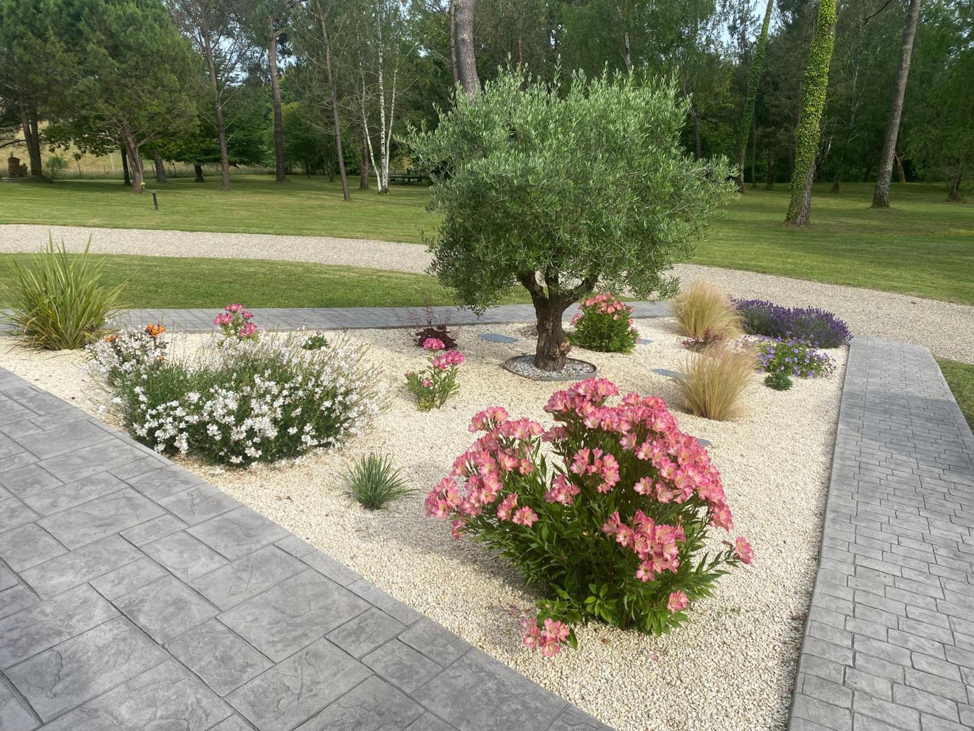 Les Pins Perdus Bed and Breakfast Saint-Ciers-d'Abzac Eksteriør billede